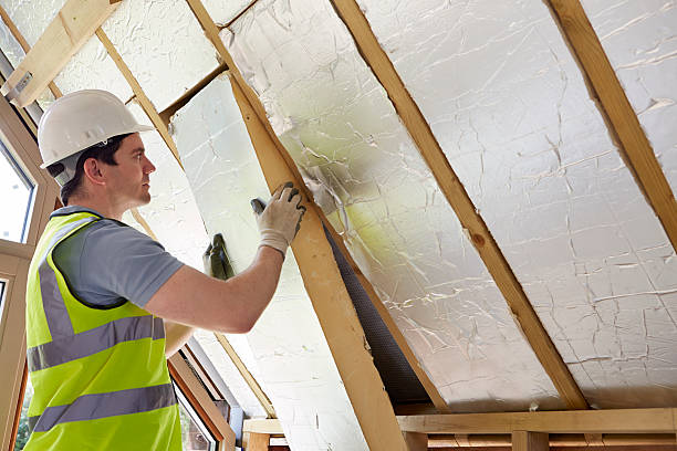 Best Spray Foam Insulation in Iota, LA