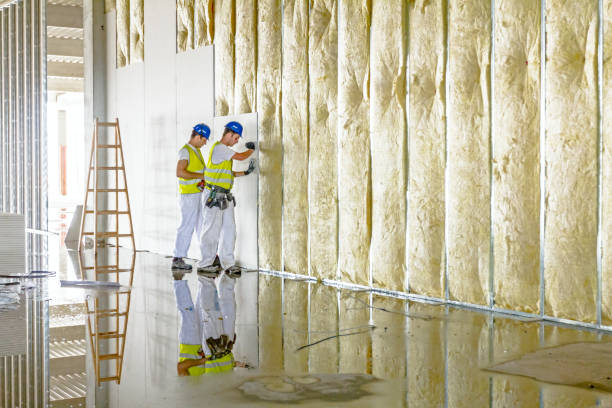Best Fiberglass Insulation in Iota, LA
